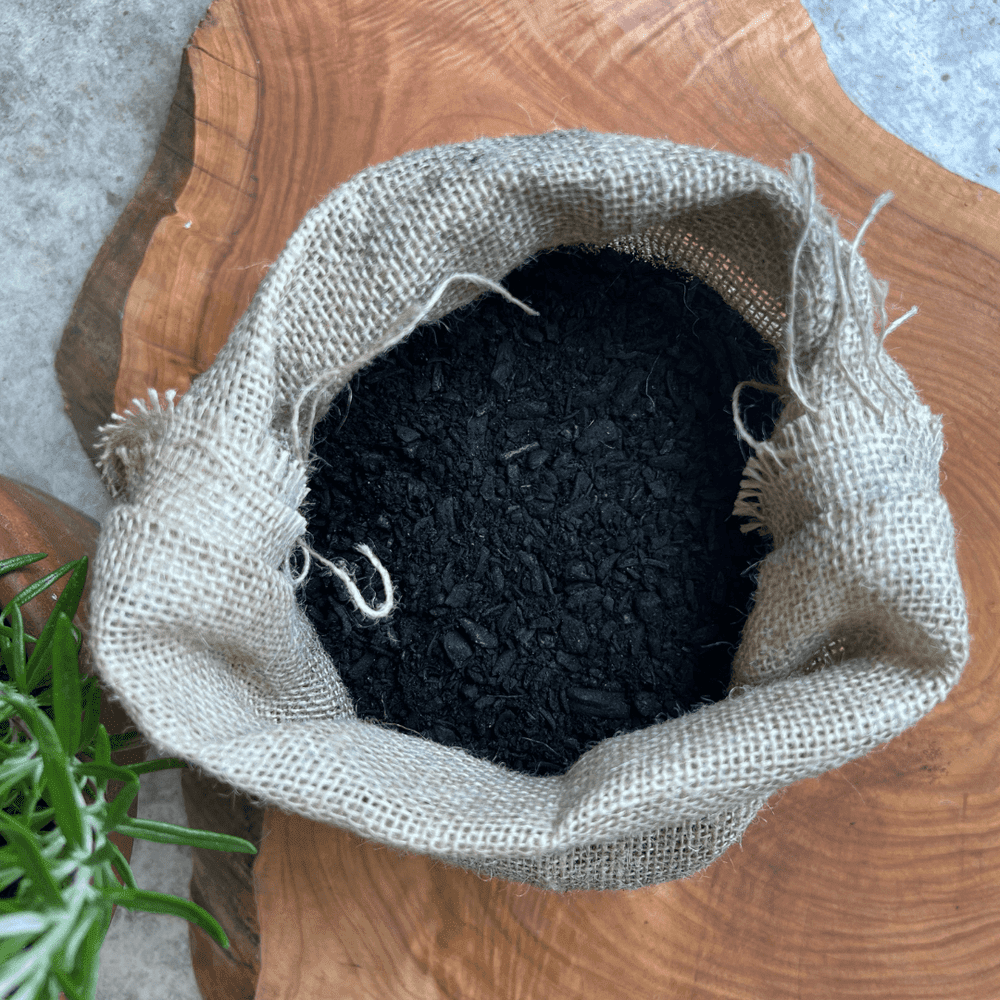 Buy biochar UK | Biochar + inoculant powder | Earthly Biochar
